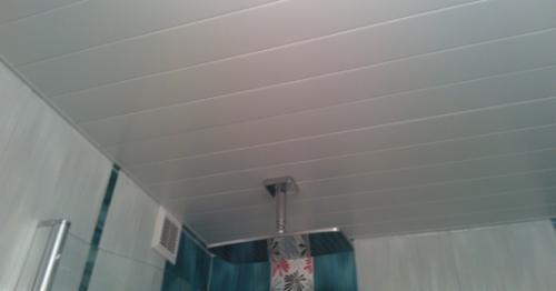 Интерьер ванной комнаты с белым реечным потолком A150AT