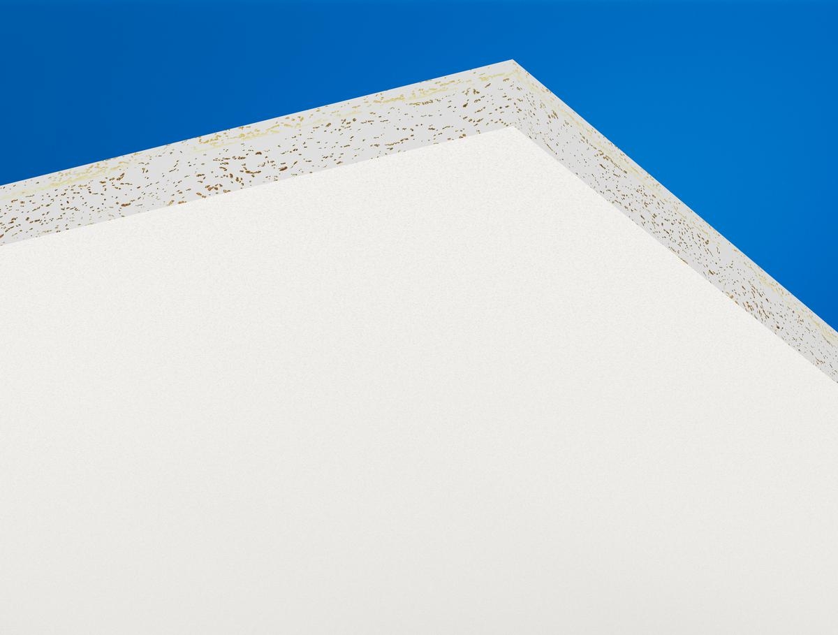 Потолочные панели Master Rigid A/T24 600x600x20 мм, кромка A, белая Frost цена