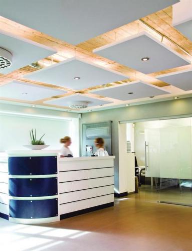 Reception со свободновисящими потолками Ecophon Solo Square Reception со свободновисящими потолками Ecophon Solo Square