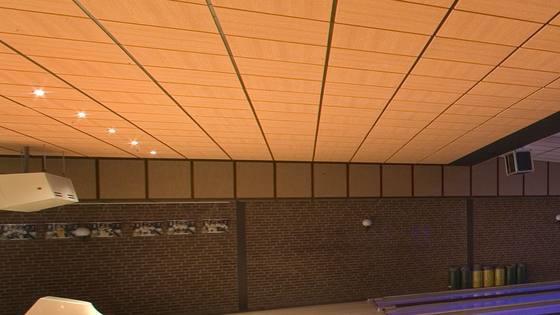 Декоративная потолочная панель Ligna 1200x600x15 мм кромка A15/24 цвет Бук цена