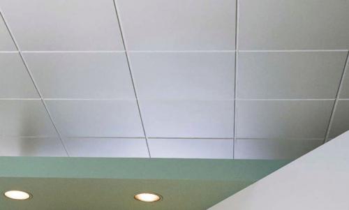 Интерьер потолка с панелями Blanka E15